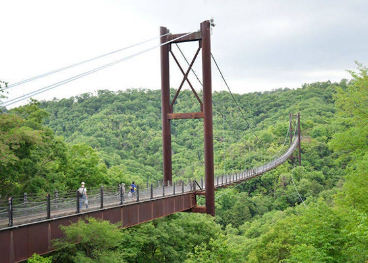 ▲ Hoshida Park's Hoshi-no-Buranko Suspension Bridge, nicknamed Star Swing