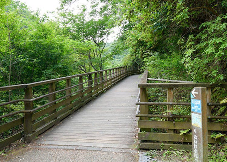▲ The pedestrian bridge got its name because it resembles a forest railway as the path goes along the side of the mountain. There is an excellent aerial view from this bridge of the Amano River below that has become a mountain stream.