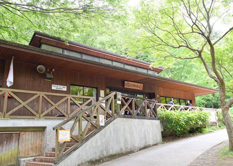 ▲ Piton Lodge. It also has information about the plants and animals in Hoshida Park.