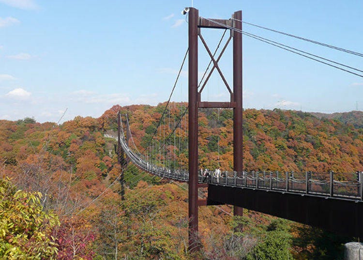 ▲ The mountains resplendent in autumn leaves is a scene that can only be enjoyed here (Photo courtesy of Osaka Midori Public Corporation)