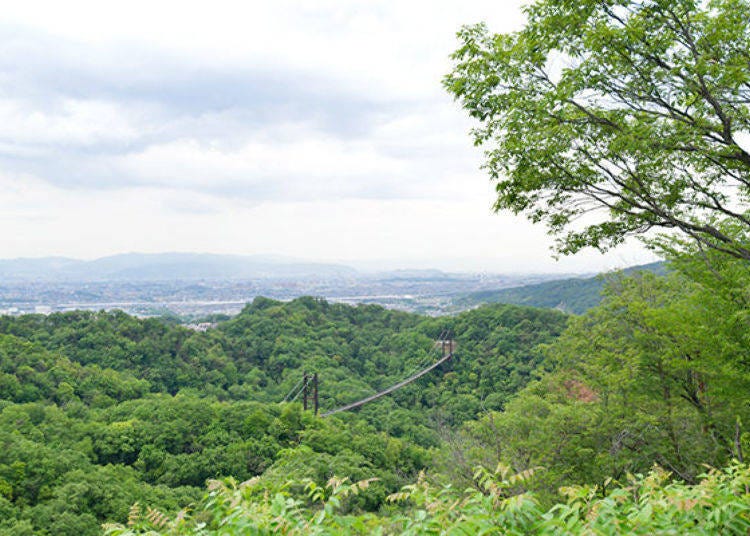 ▲ After about a 15-minute walk from the Star Swing you will come to an observation point on the top of a hill. From here you can see the Star Swing below.