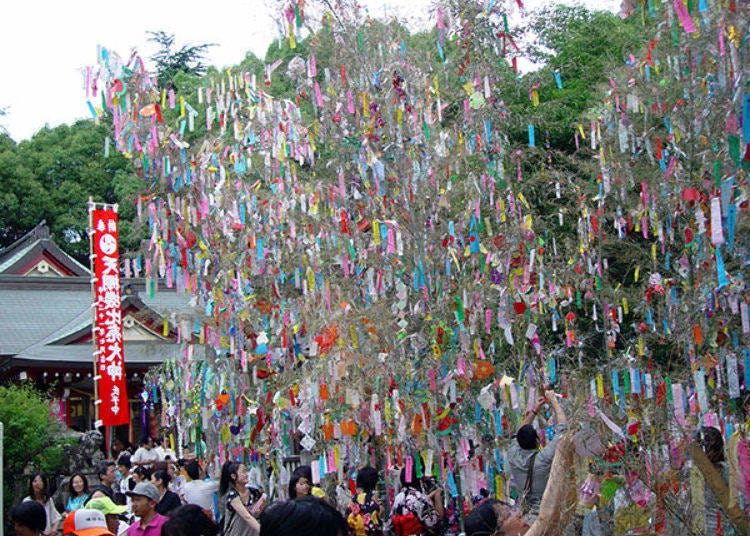 ▲ The night stalls during the Tanabata festival, bamboo trees decorated with many colorful strips of paper representing wishes, become quite lively. It seems that volunteers cut down about 50 fine bamboos from the mountain (Photo courtesy of Hatamono Shrine)