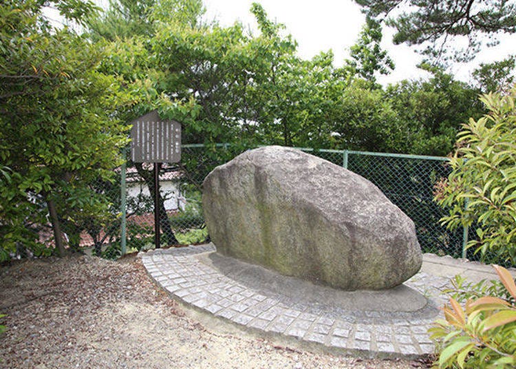 ▲ The Cowherd Stone sits at the highest point in Kannonyama Park in Hirakata City. The megalith is about 1 meter tall and about 2 meters wide (photo courtesy of Hirakata City Public Relations Division)