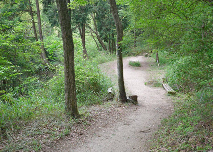 ▲沿著天野川的步道，比較起來較為平坦。沿途中到處都設有可休息用的長木椅。