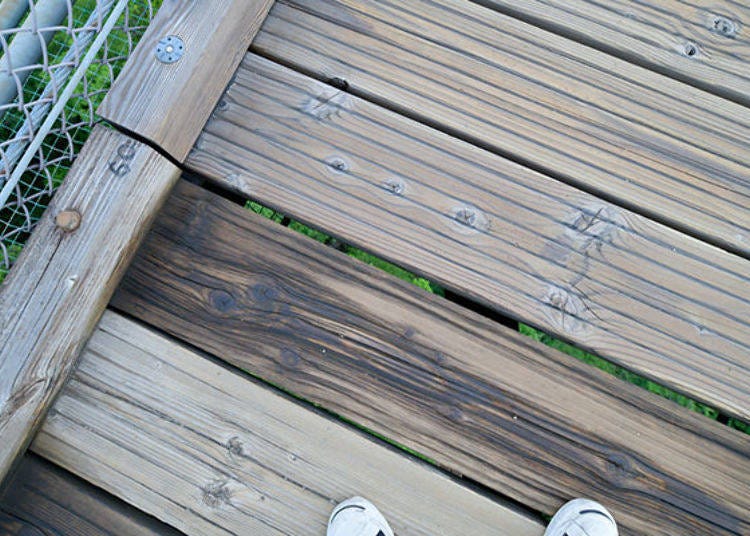 ▲吊橋木製地面的縫隙最大寬度約1cm左右。