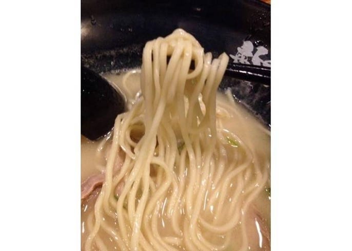 年間350杯以上を食べるラーメンライターが選ぶ 大阪の絶品ラーメン店5選 Live Japan 日本の旅行 観光 体験ガイド