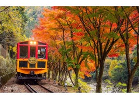 【2026關西賞楓】一票難求！自由行必搭的絕景紅葉與觀光列車完全指南