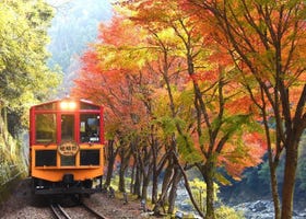 Hardest Ticket to Book This Fall? These Stunning Autumn Sightseeing Trains Will Take You Through the Beauty of Kansai