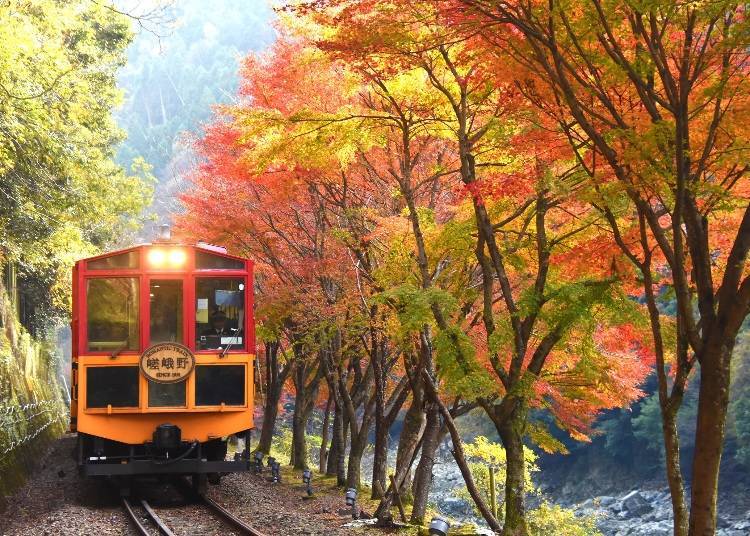 5. Sagano Romantic Train: Enjoy the beauty of the valley