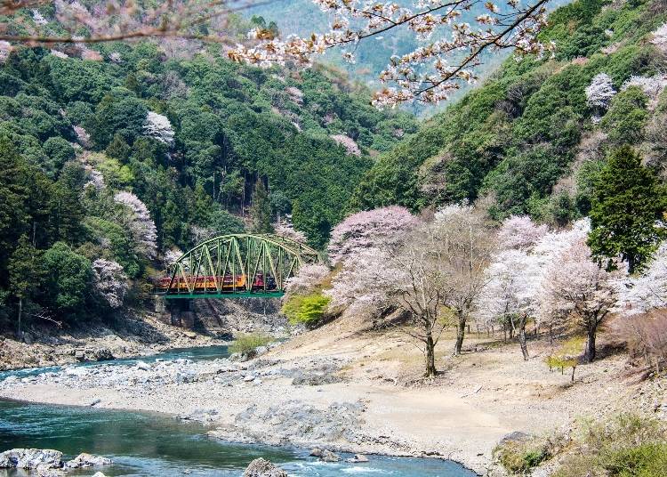 tourist train japan