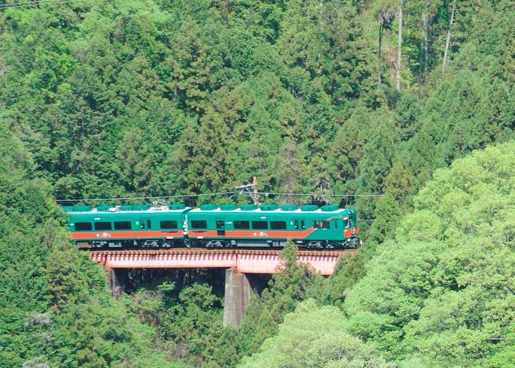 搭乘南海電鐵的觀光列車「天空」前往高野山吧