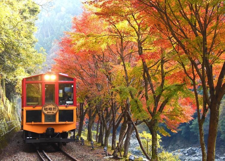 享受溪谷美景的「嵯峨野遊覽小火車」