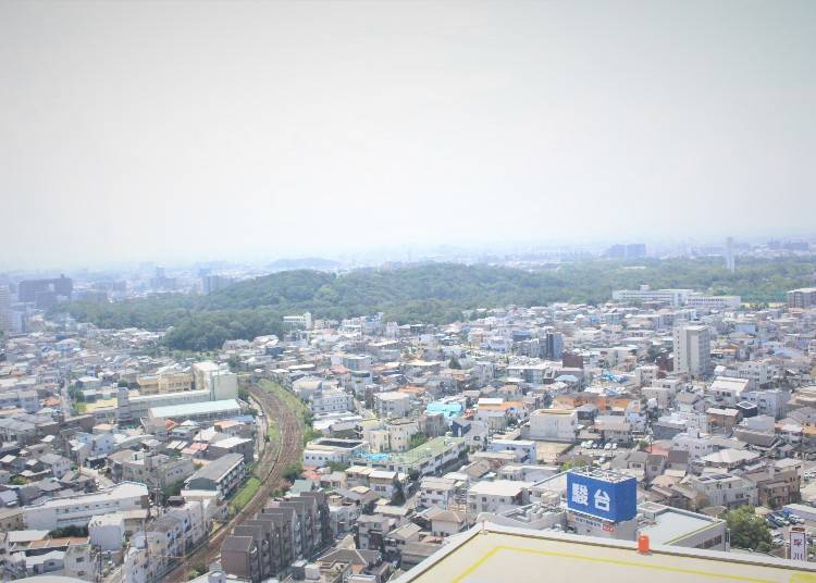 Get an overall view of Osaka Mozu Tombs from Sakai City Hall's observation lobby