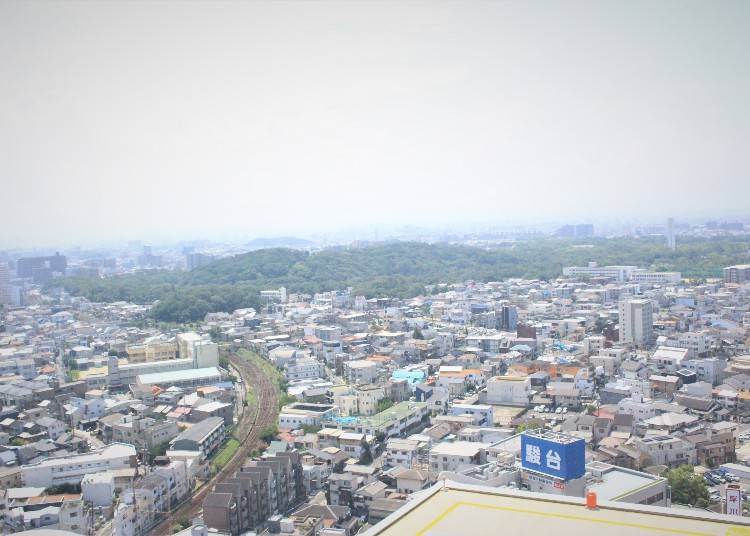 전체를 조망하려면 시청 전망대로 가자
