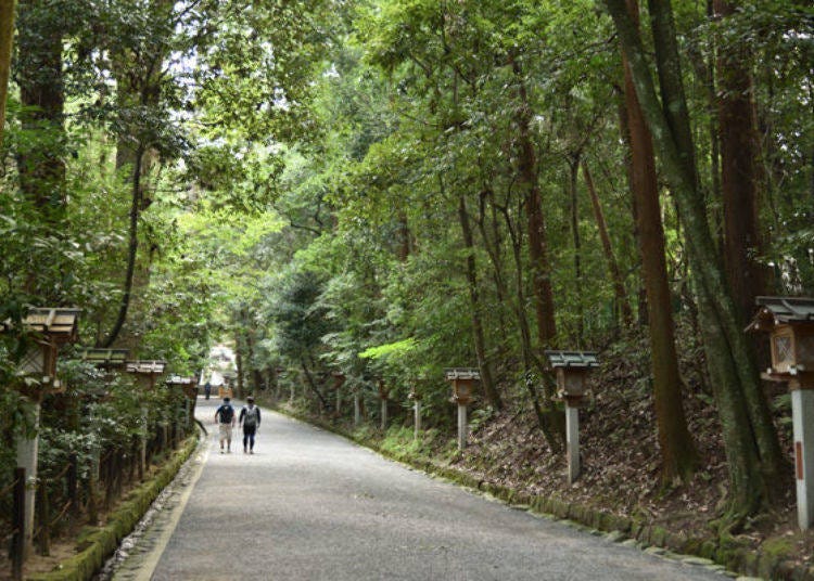 While walking along the long path leading to the shrine, if feels like your body is being cleansed. The center of the path is for deities, so make sure you walk on the sides
