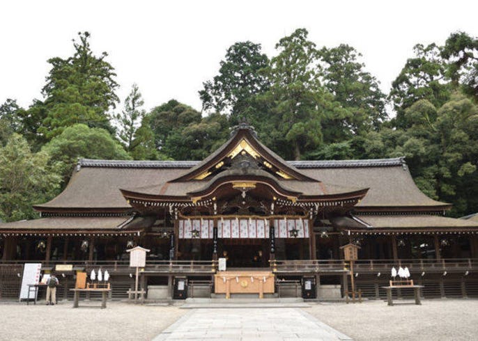 在日本最古老的奈良 大神神社 能量充電 用可愛的小兔子結緣祈願 live japan 日本旅遊 文化體驗導覽