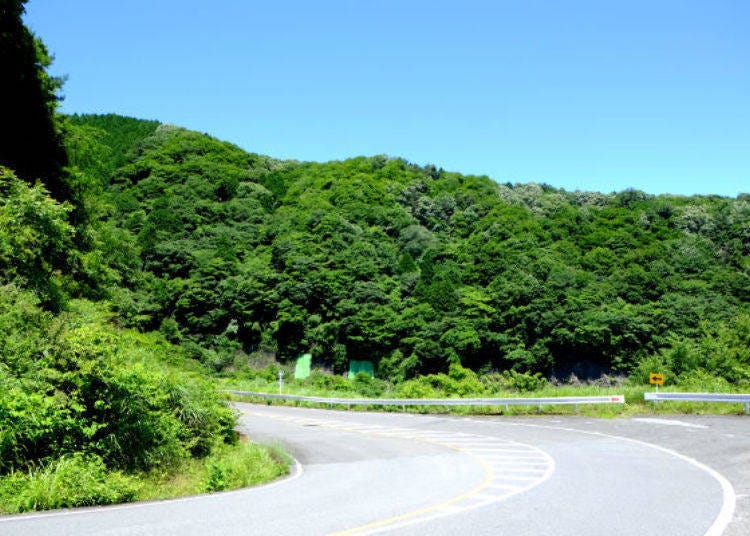 From Ibukiyama entrance to Sky Terrace Ibukiyama, it takes about 30 to 40 minutes on the winding mountain road.