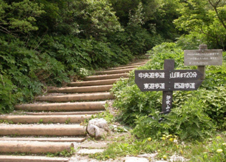 The Center mountain path is well maintained and not too hard to climb (photo provided by Maibara Tourism Association)