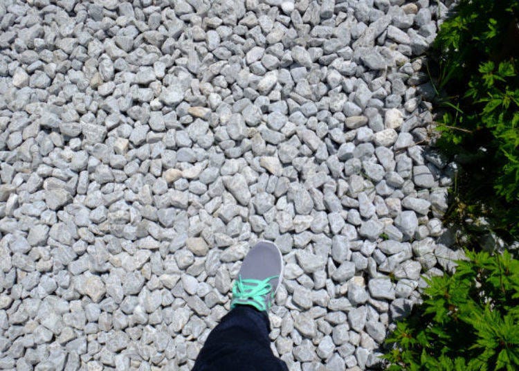 The path is well maintained, but we still recommend wearing comfortable walking shoes for safety reasons.