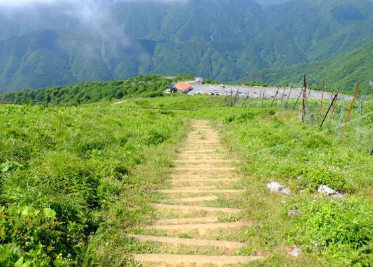 If you look down the Center mountain path from the peak, you can see the steep stairs going down. For people who have weak legs or a bad back, you should go back down the West mountain path