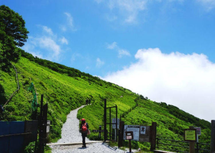▲傾斜的西登山道。眼前盡是一片大地的翠綠與蔚藍的天空！