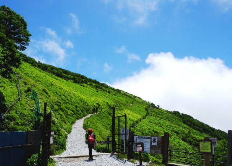 ▲傾斜的西登山道。眼前盡是一片大地的翠綠與蔚藍的天空!