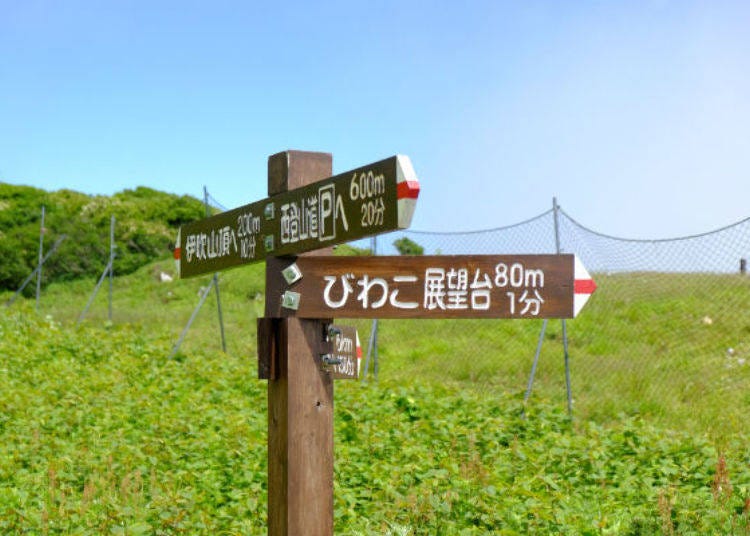 ▲首先先避開西登山道向右側的展望台前進♪