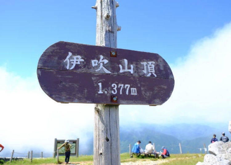 ▲山頂標示。當看到這個標示時，就讓人體會到登山的真實感