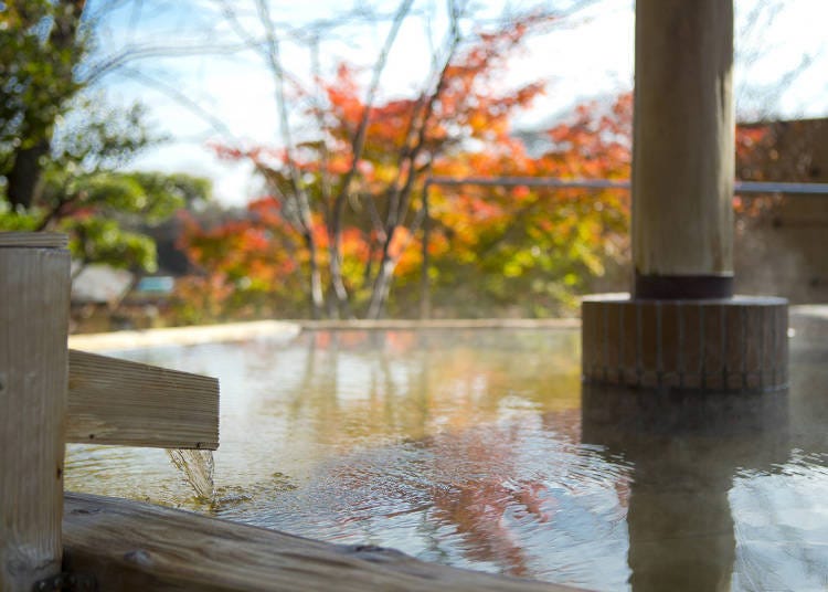 Garden bathing in the "Healing Bath"