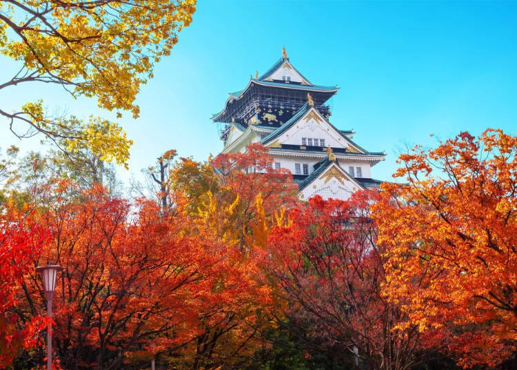 1. (Osaka) Osaka Castle Park: Autumn Foliage with the Beautiful Castle Tower