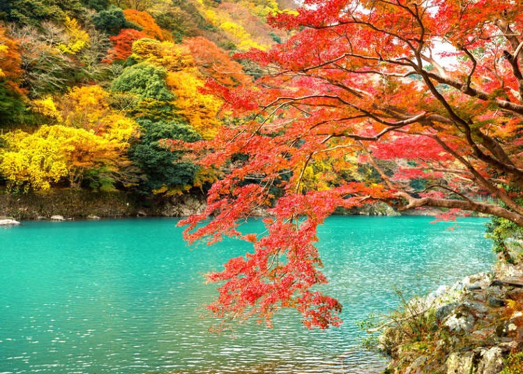 4. (Kyoto) Arashiyama: Kyoto's Most Famous Place for Autumn Red Leaves