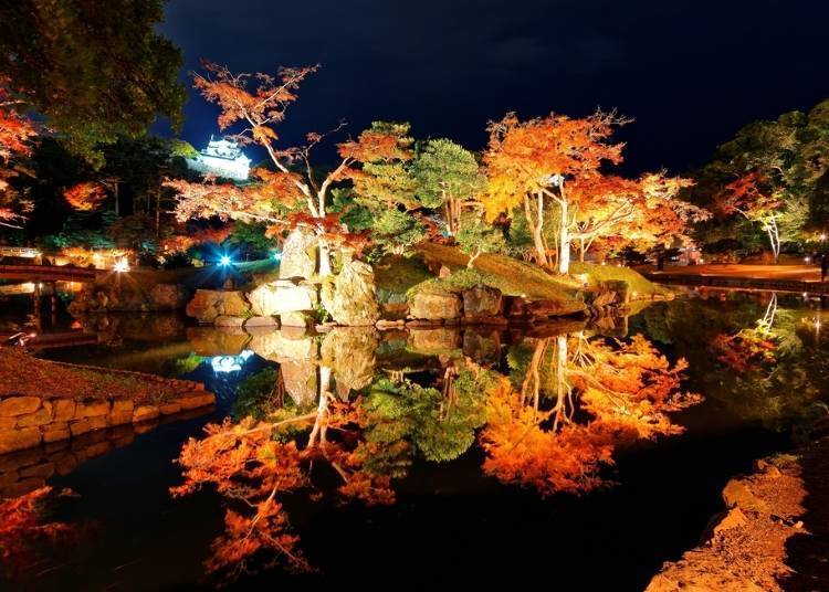 5. (Shiga) Genkyu-en Garden: Fantastic Autumn Foliage in a Traditional Japanese Garden