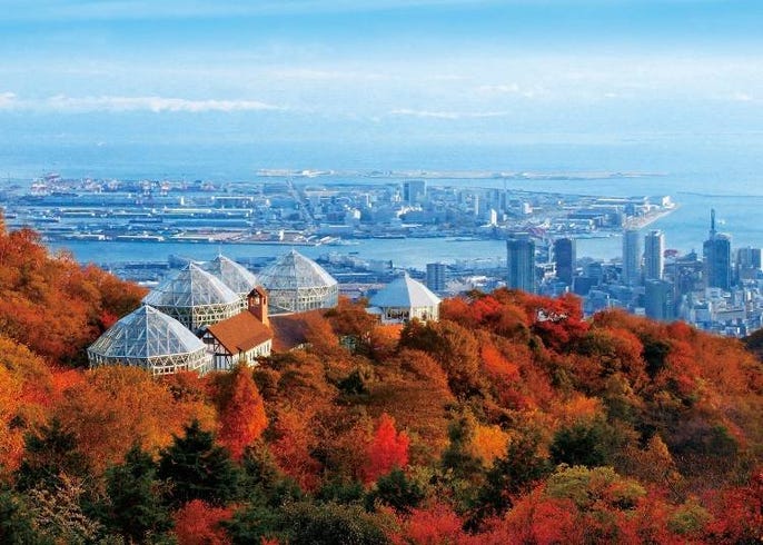 19年 関西の紅葉見ごろ情報 おすすめ絶景スポット8選 Live Japan 日本の旅行 観光 体験ガイド