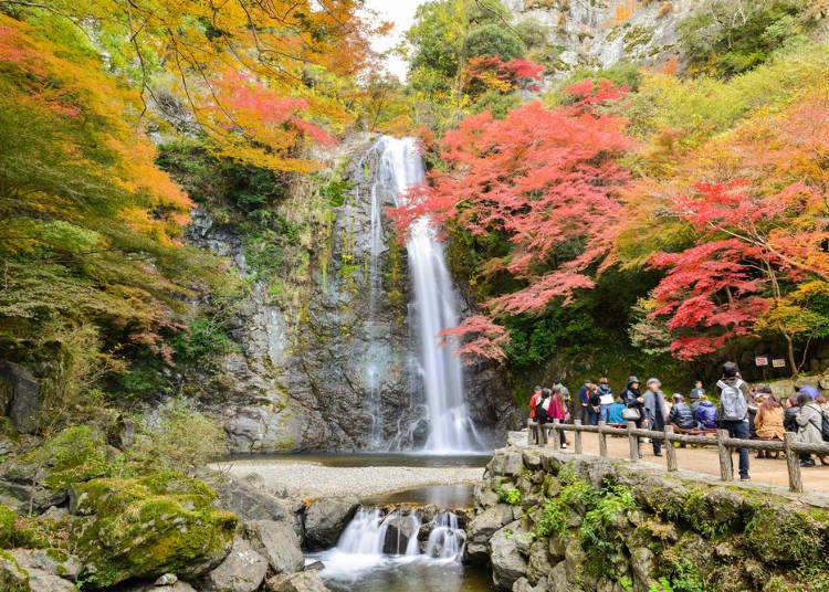 【오사카】 단풍 튀김을 맛볼 수 있는 ‘미노공원’