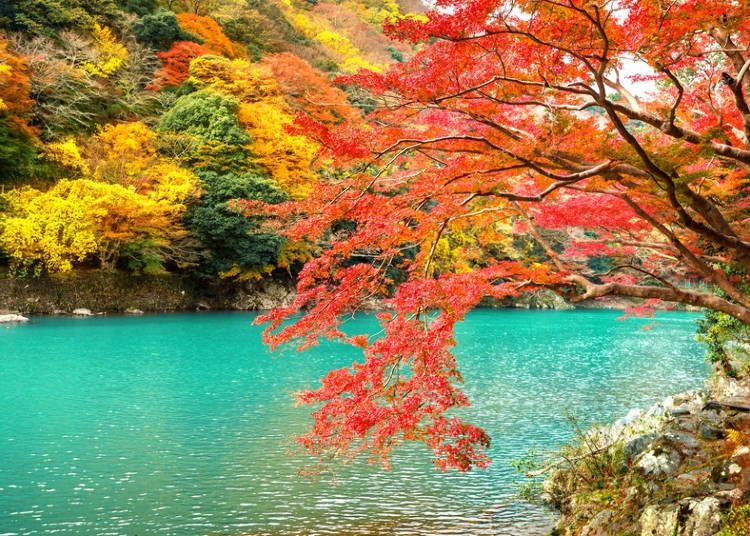 關西賞楓景點④京都:賞楓必去景點「嵐山」