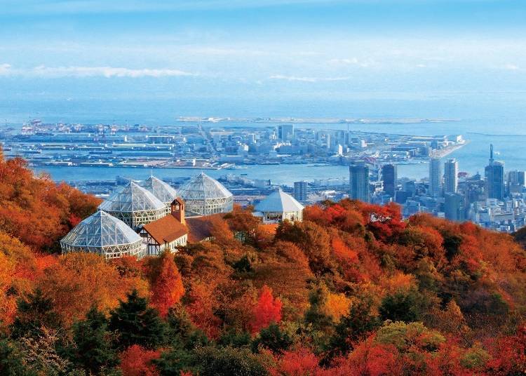 關西賞楓景點⑥神戶兵庫:在空中散步一覽紅葉「神戶布引香草園/空中纜車」