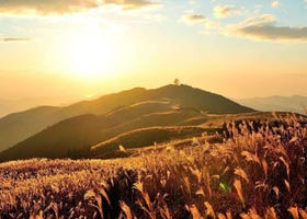 Enjoy the Quiet, Mystical Charms of Kimino Town (Wakayama)