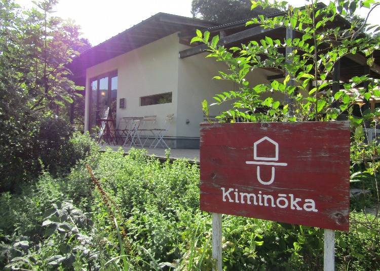 Taste the Freshness: Kimino’s Gourmet Vegetables