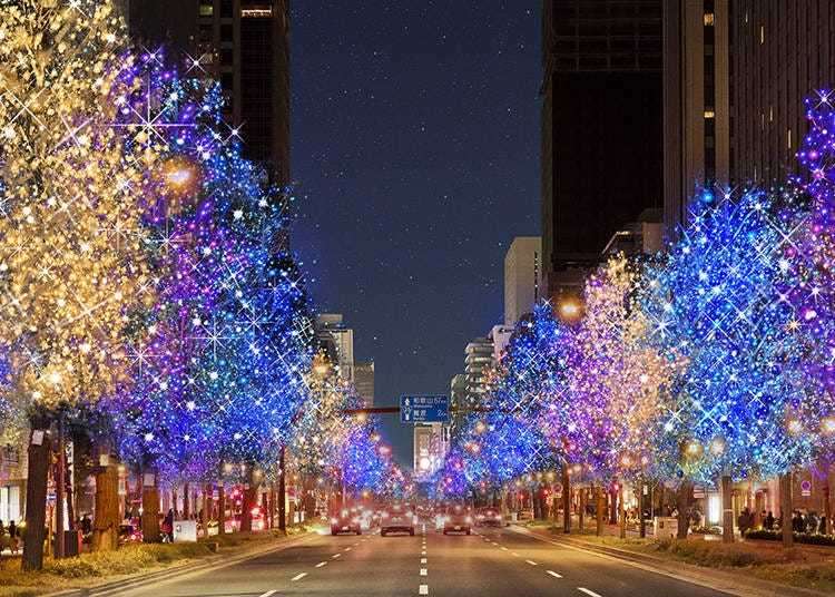Top 6 Winter Illuminations in Kansai 2021-22: A World Where Everything Glitters!