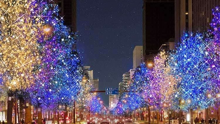 Top 5 Winter Illuminations in Kansai 2022-2023: A World Where Everything Glitters
