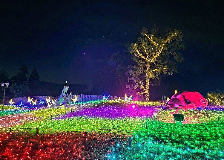 6. Wonder Night Hill 2023: One of Minami Osaka's Biggest Illuminations! (Minami Osaka)