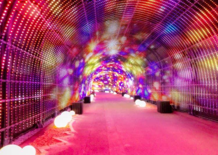 Wonder Tunnel