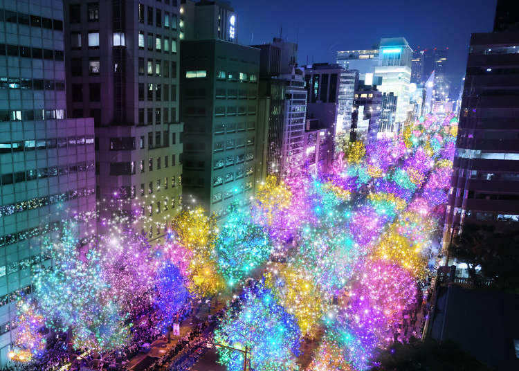 御堂筋燈光展2024示意圖