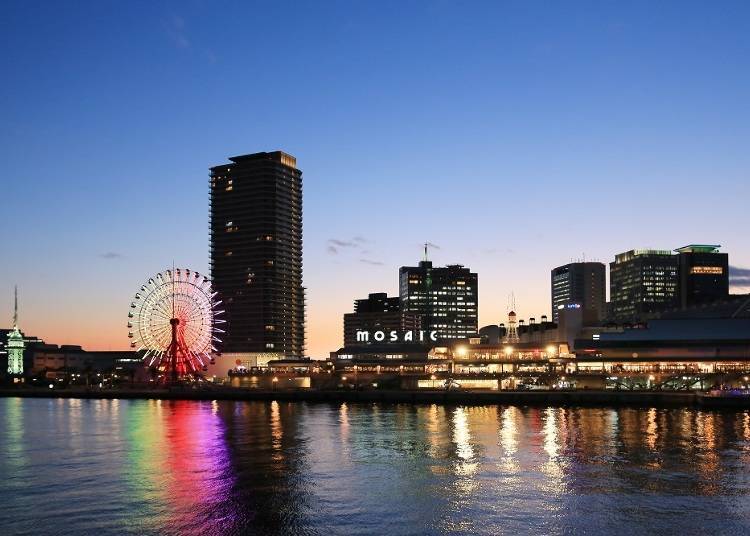 Mosaic Ferris Wheel night view