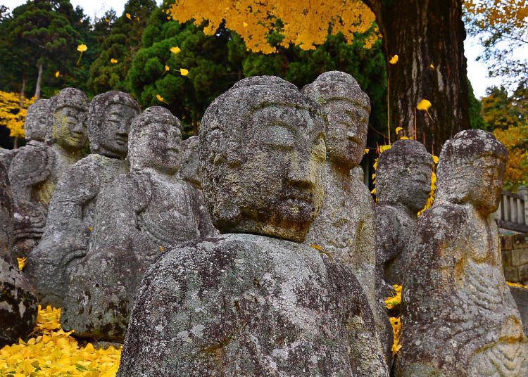 5. 48 Stone Buddha Statues at Ukawa: Expressive statues silently watching over the mountain