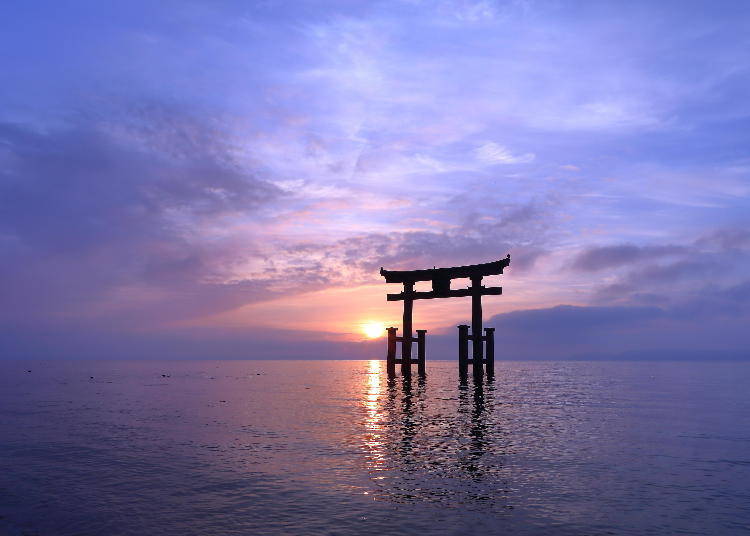 琵琶湖上浮現的大鳥居，很美的「近江嚴島神社」