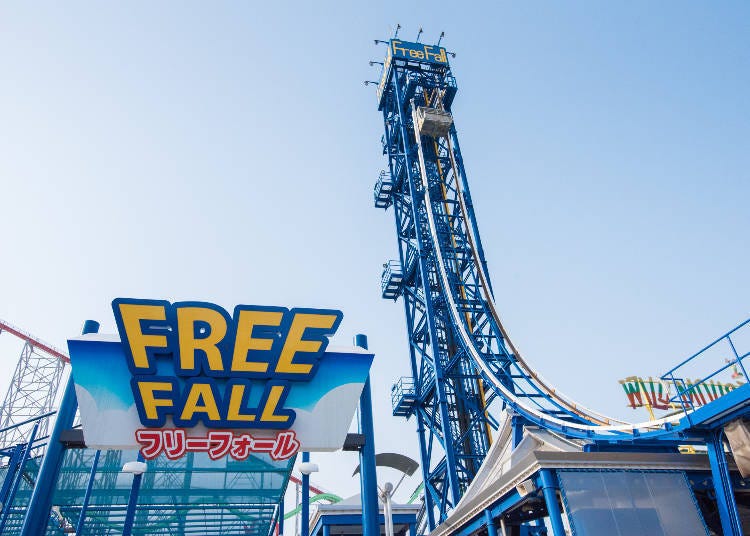 Fear Level 3: The simply terrifying Free Fall