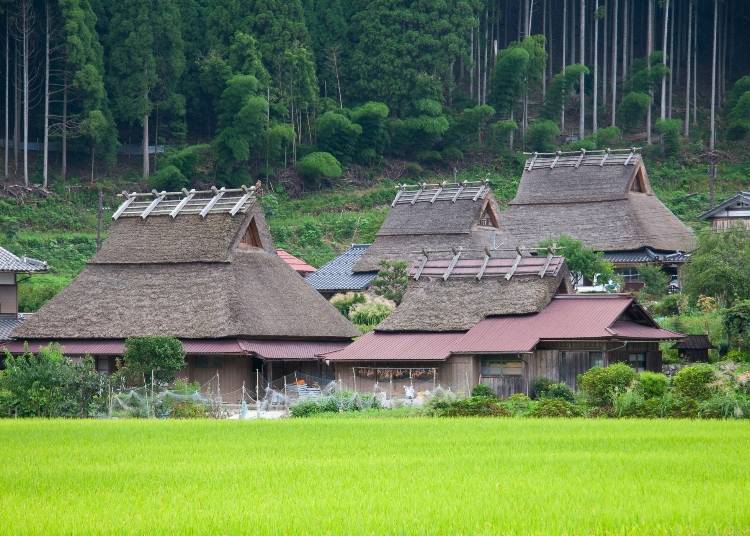 Kelvin is crazy about the Kayabuki no Sato [Thatch-roofed Village] of Miyama-cho, Kyoto.
