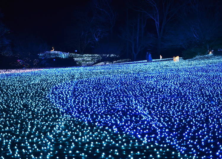 7. Nara Park: A beautiful nature park gets made over in sapphire (Nara)