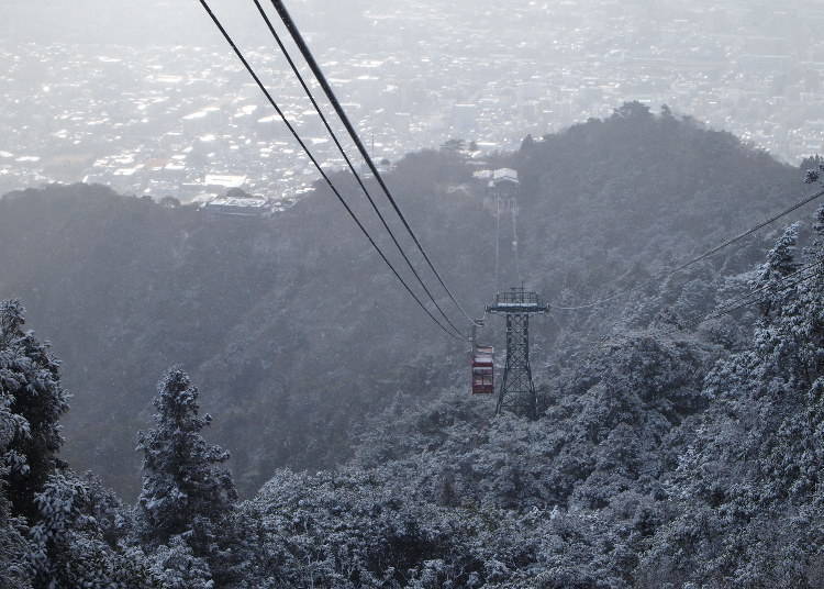 Maya cable car in winter colors